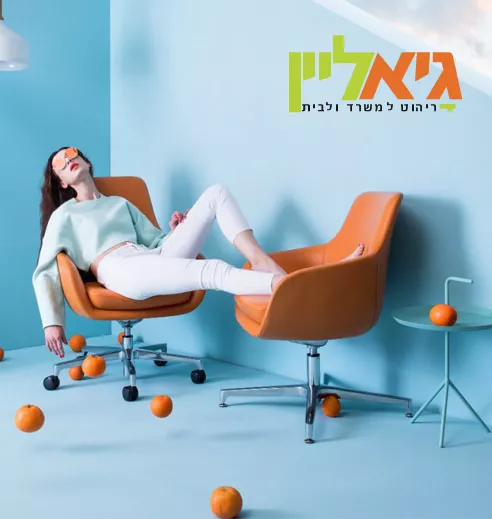 גיא ליין, רהיטים מעוצבים לבית ולמשרד